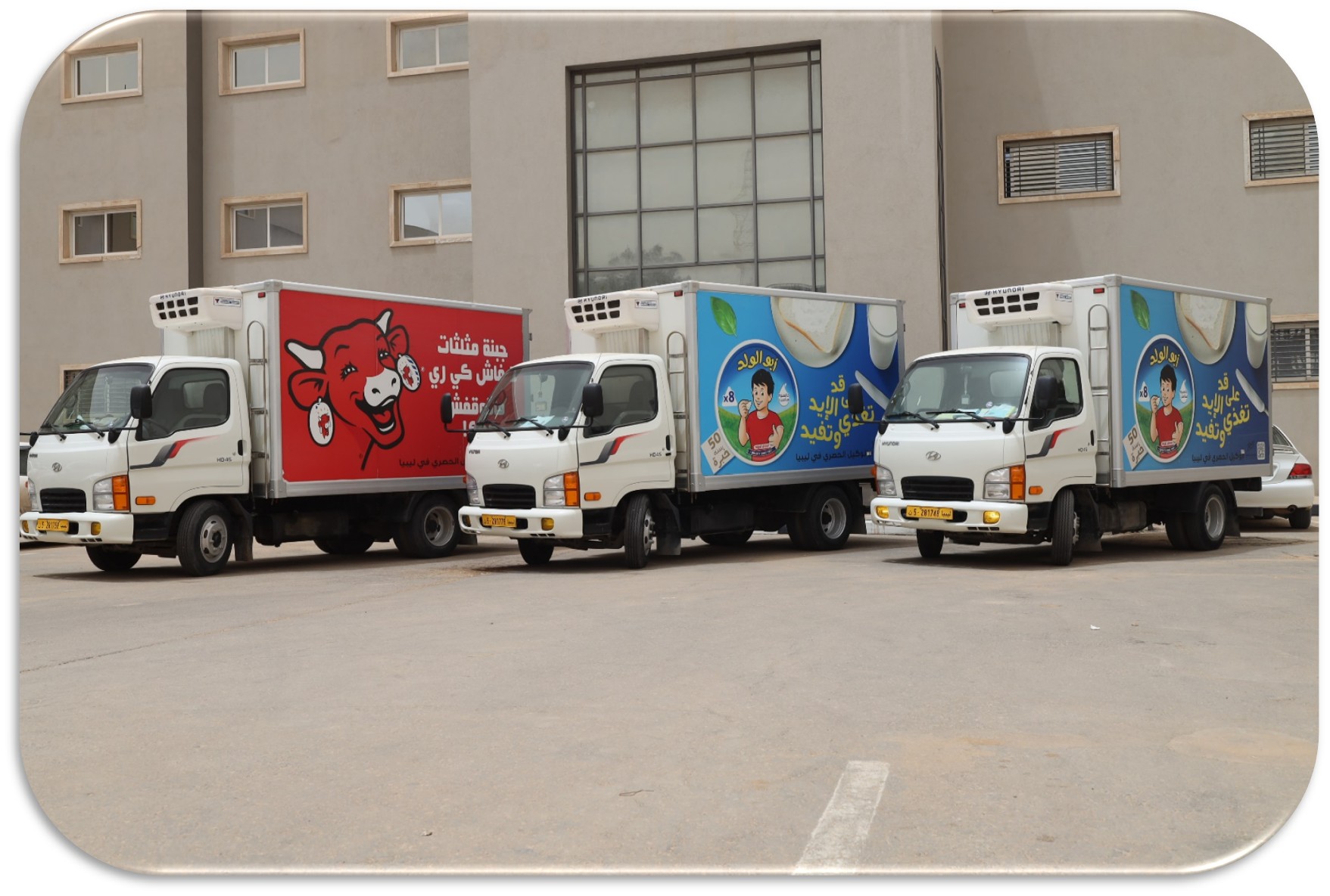 Distribution Fleet
