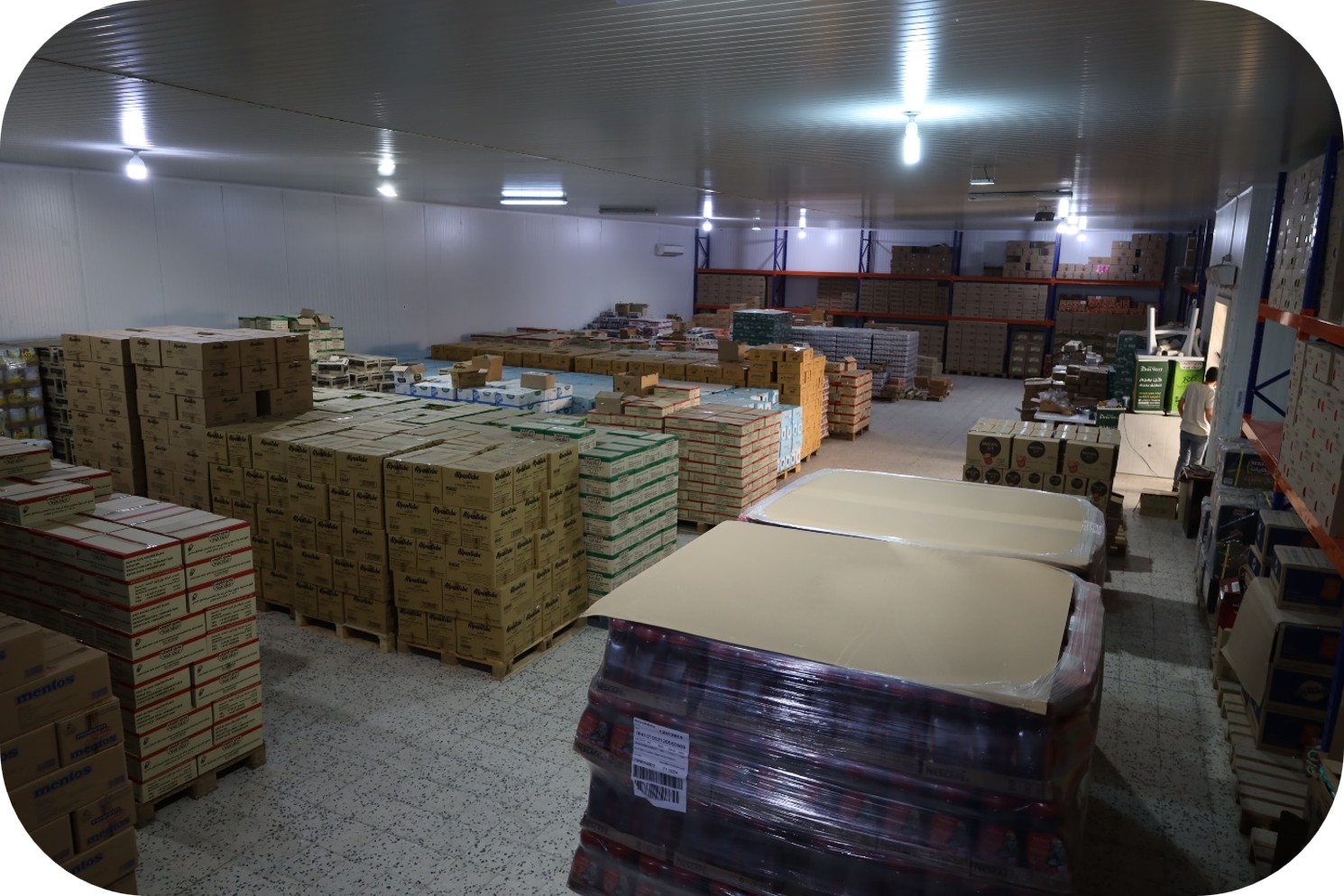 Warehousing Capacity
